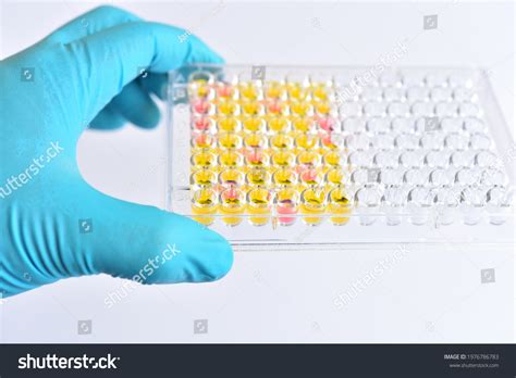 Enzymelinked Immunosorbent Assay Elisa Plate Immunology Foto Stok