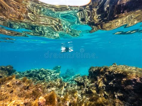 Woman Snorkeling And Free Diving To Red Sea Coral Reef Stock Image