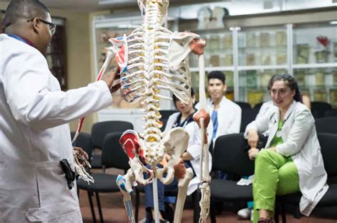 Best Physical Therapy Schools - Best Universities