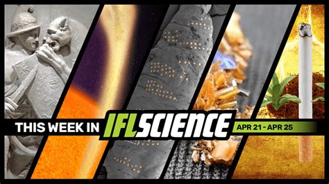 Despite Being Pretty Much Useless, These Ear-Wiggling Muscles Still ...