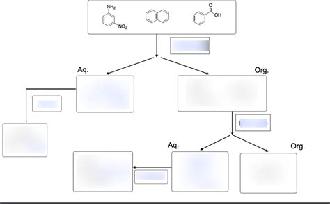 CHEM 2445 Exam 1 Review UCONN Storrs Diagram Quizlet