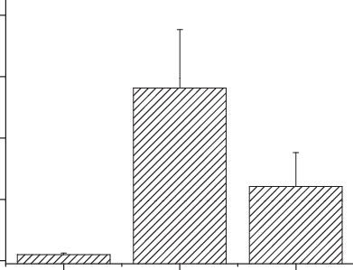 Quantitative Real Time RT PCR Analysis Of EPC Mx Gene Expression In