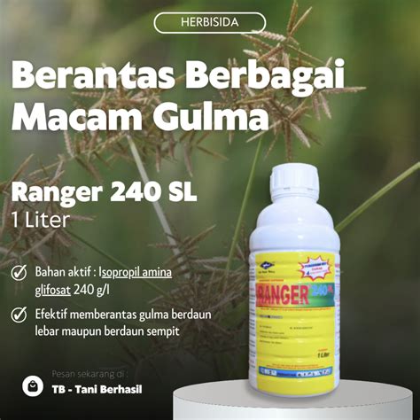 Jual Herbisida Ranger Sl Liter Obat Rumput Liar Shopee Indonesia