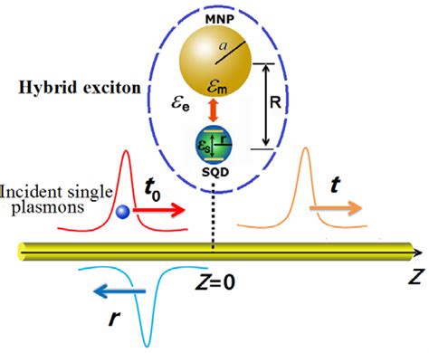 Color Online The Schematic Diagram Of The Hybrid Mnp Sqd Nanosystem