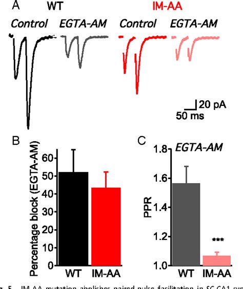 Figure From Calcium Sensor Regulation Of The Cav Ca Channel