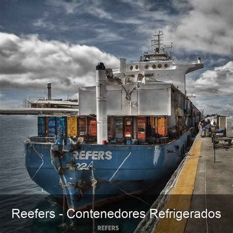 Reefers Contenedores Refrigerados Megacontainers