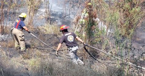 Protección Civil Registra Más De 40 Incendios En Monterrey Y Sus