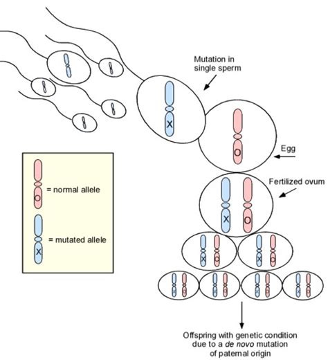 Hartsfield Syndrome MedlinePlus Genetics