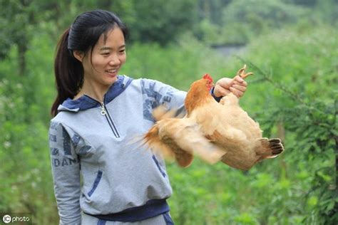 林下養土雞能賺多少錢？賣了土雞又換車了！羨慕嗎（我來教你養） 每日頭條