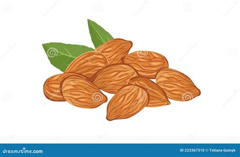 Heap Of Almonds Isolated Vector Illustration Of Nuts Stock Vector