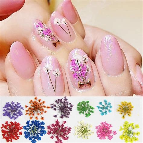 Decoração De Unhas Flores Seca 12 Cores Unha De Gel Oferta R 19 00