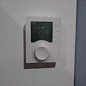 Delta Dore 6053005 Tybox 117 Thermostat Dambiance Programmable Amazon