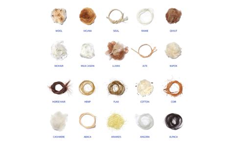 Textilepedia by - Amazon.ae