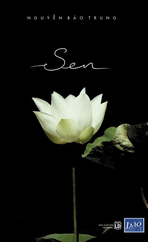 Top 10 Cuốn sách hay về Phật giáo đọc để yên vui và hạnh phúc - toplist.vn