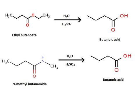 Hydrolysis Of Ethyl Butanoate