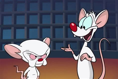 Regresan A La Tv Animaniacs Pinky Y Cerebro Campeche Mx