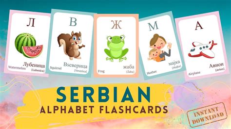 Serbian Alphabet Flashcard With Picture Learning Serbian Serbian