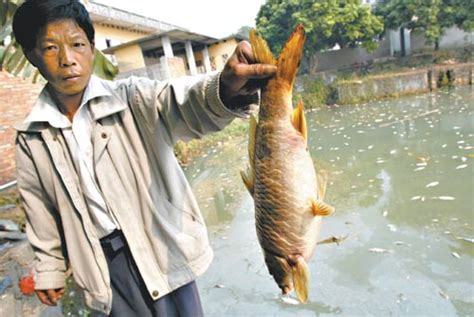 广东新闻·南方网：疑因废水污染 两亩鱼塘1400公斤鱼离奇突死