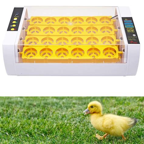 Hhd Farm Egg Incubator Turn Egg Brooder Automatic Hatchery Machine