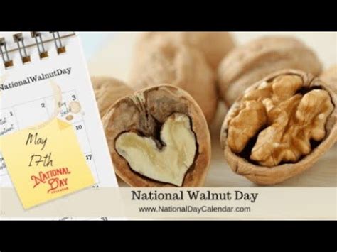 National Walnut Day YouTube