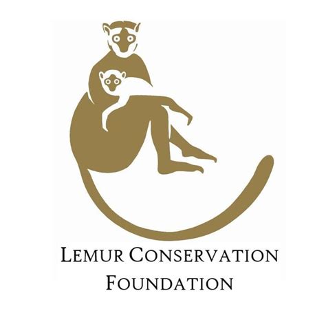 Lemur Conservation Foundation La Journée Mondiale Des Lémuriens