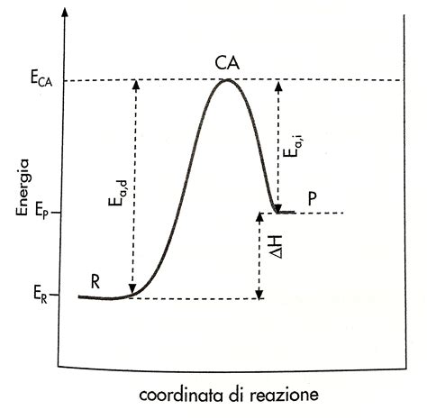 Velocità Di Reazione E Temperatura Microlearning