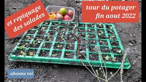 Tour Du Potager Fin Ao T Repiquage Salades Youtube