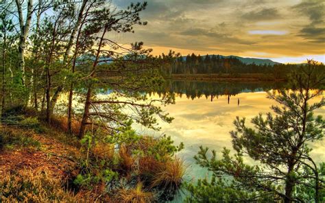 Hintergrundbilder Bäume Landschaft Wald Sonnenuntergang Hügel