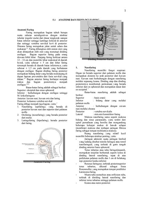 Anatomi dan Fisiologi Faring - Anatomi Faring Faring merupakan bagian tubuh berupa suatu saluran ...