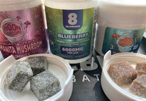 The 5 Best Mushroom Gummies Of 2023 Info Hhc And Cbd