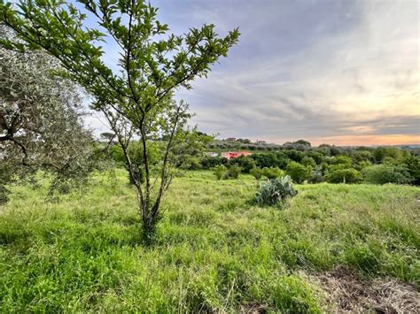 Terreno Agricolo Via Palombarese Sant Angelo Romano Rif