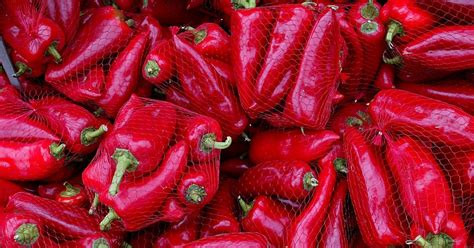 Paprika Auf Dem Parkdeck Schreberg Rten F R Alle Sn At