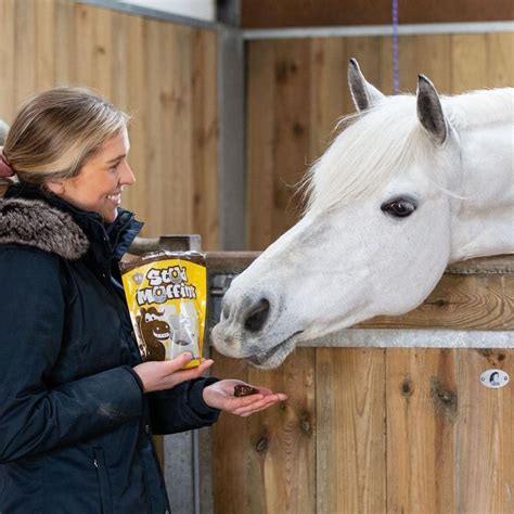 Understanding Horse Sheath Swelling: Causes, Symptoms, and Solutions ...