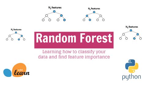 Random Forest Sklearn 2 Most Important Features In A Tutorial With Code