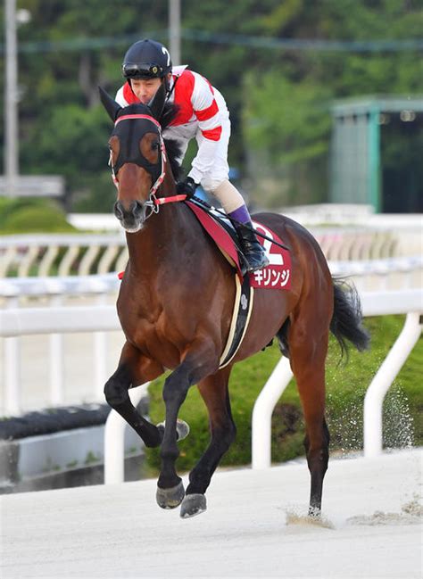 【jdd】伏兵キリンジが2着食い込む 藤岡佑「期待以上にいい走りしてくれました」 共通 競馬 日刊スポーツ