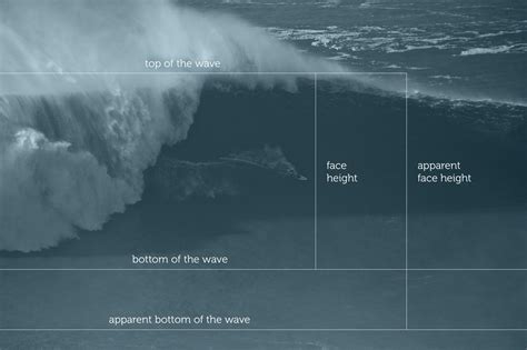 Mesurer La Taille Des Vagues Surfing Vox