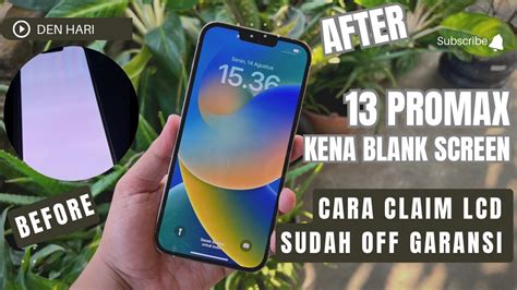 Iphone Promax Kena Blank Screen Green Screen Cara Claim Garansi