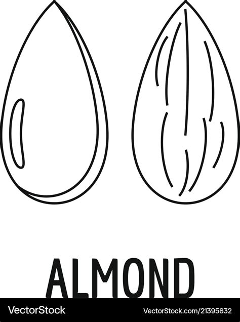 Almond Icon Outline Style Royalty Free Vector Image