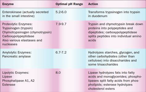 Digestive Enzymes And Their Functions Table