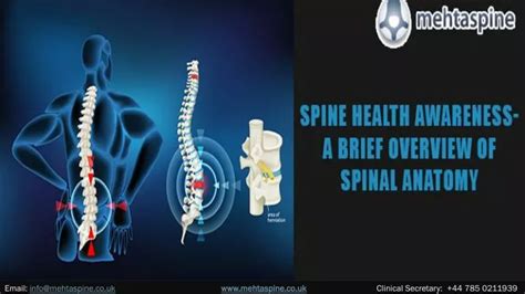 Ppt Spine Health Awareness A Brief Overview Of Spinal Anatomy Mehta