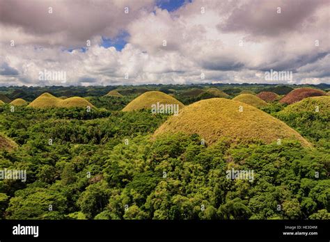 Chocolate Hills Geological Monument On Bohol Island Philippines Stock