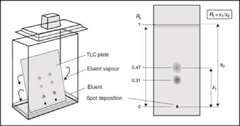 51 Tlc Plates In Its Chamber And Calculation Of Spots Rf Value