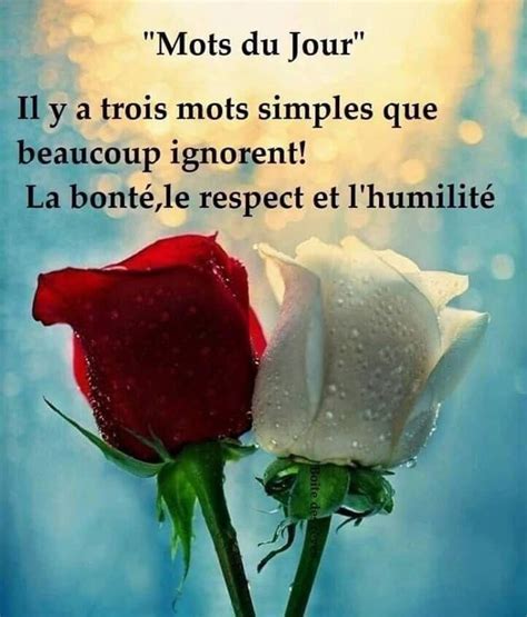 Perle On Twitter Bonne Nuit Tous Mes Chers Abonn S Et Merci De