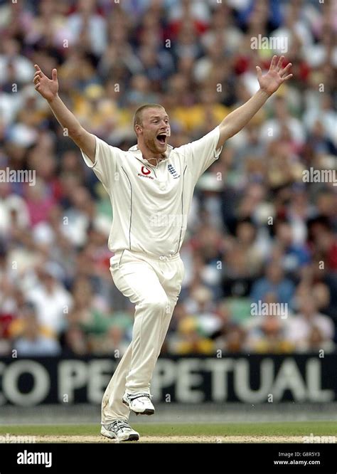 Englands Andrew Flintoff Celebrates Claiming The Wicket Of Australias