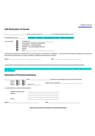 FREE 6 SAMPLE Self Declaration Statement Samples Word PDF