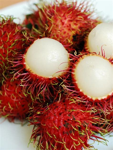 Detail Gambar Buah Gambar Buah Rambutan Koleksi Nomer 13