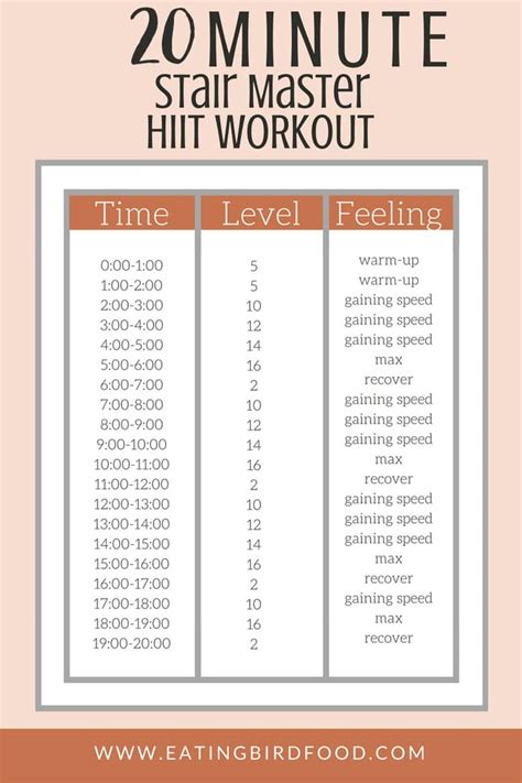 20 Minute StairMaster HIIT Workout - Eating Bird Food