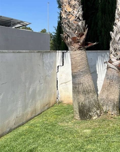 Grietas En El Muro A Reparar Con Varillas Ferros La Pobla