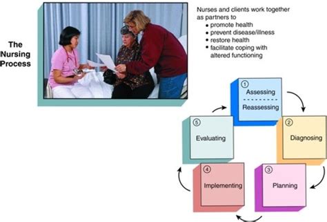 Chapter 33 Introduction To The Nursing Process Flashcards Quizlet