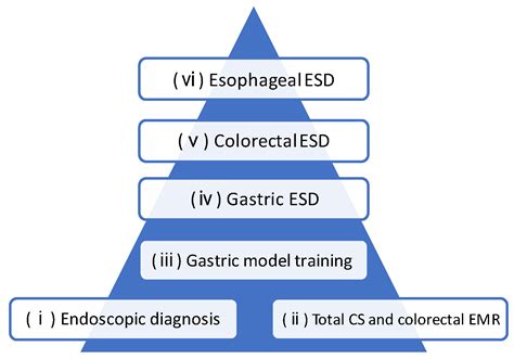 Jcm Free Full Text Safe And Efficient Procedures And Training System For Endoscopic